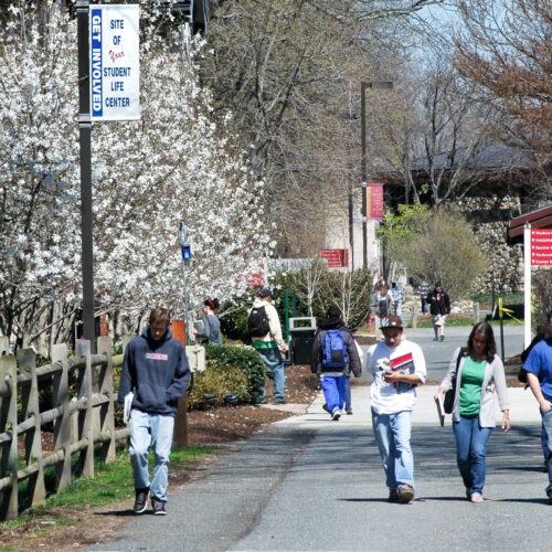 students walking on campus carrying books and spring blooms on the trees